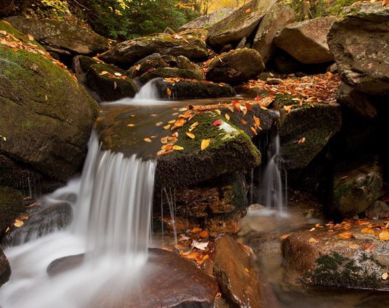 "Cascades at Boone Fork, Milepost 296.7" by Daniel Burleson