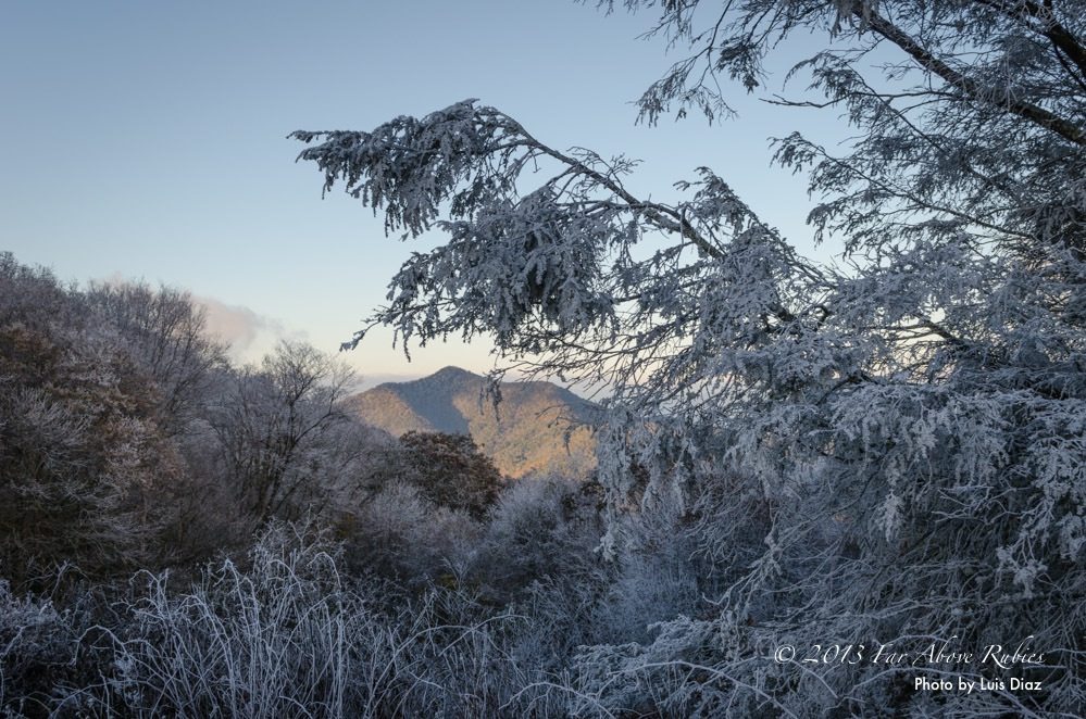 "Rime Ice Near Balsam NC" by Luis Diaz
