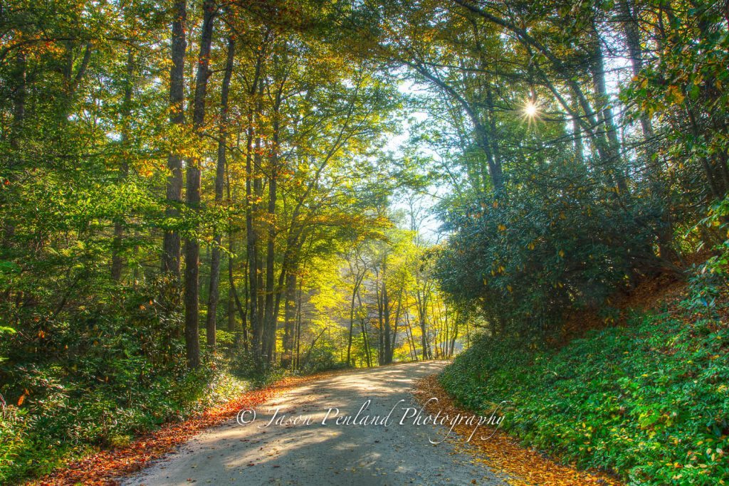 "October Road at Mt. Mitchell" by Jason Penland Photography