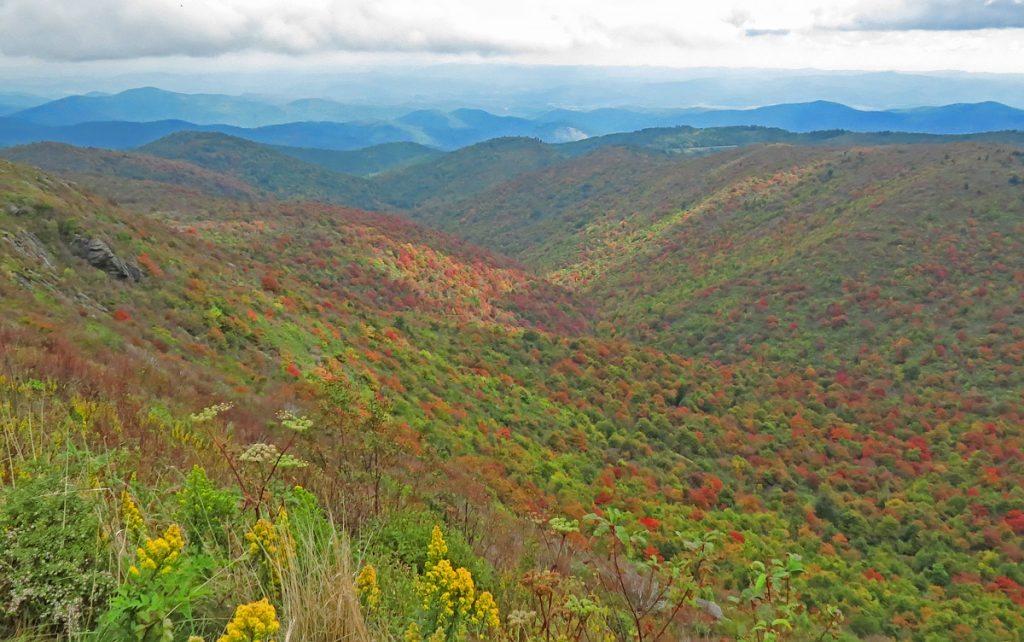 "Tennent Mountain at Black Balsam" by Bruce Roberts