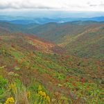 "Tennent Mountain at Black Balsam" by Bruce Roberts