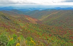 "Tennent Mountain at Black Balsam" by Bruce Roberts
