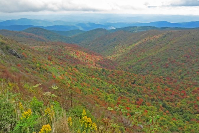 "Tennent Mountain at Black Balsam" by Bruce Roberts