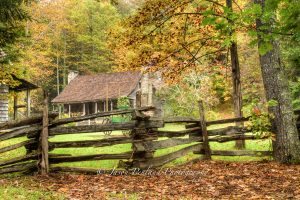 "Cradle of Forestry, Pisgah National Forest, via Blue Ridge Parkway" by Jason Penland Photography