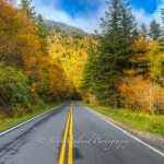 "Peak Color At Mt. Mitchell State Park" by Jason Penland Photography