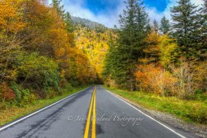 "Peak Color At Mt. Mitchell State Park" by Jason Penland Photography