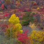 "Graveyard Fields – Milepost 439.0" by John MacLean Photography