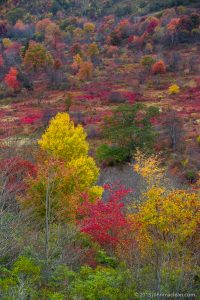 "Graveyard Fields – Milepost 439.0" by John MacLean Photography