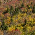"Hikers at Black Balsam, Milepost 420" by Jennifer Mesk Photography
