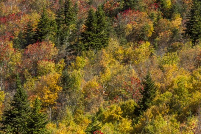 "Hikers at Black Balsam, Milepost 420" by Jennifer Mesk Photography