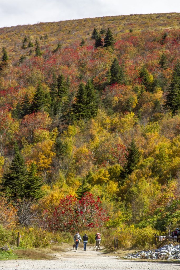 "Hikers at Black Balsam, Milepost 420" by Jennifer Mesk Photography