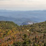 "View from Black Balsam Road toward Looking Glass Rock" by Jennifer Mesk Photography