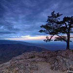 "Ravens Roost" by James Beeler