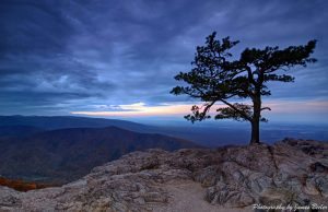 "Ravens Roost" by James Beeler
