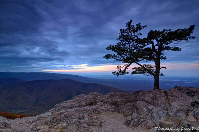 "Ravens Roost" by James Beeler
