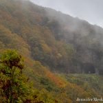 "Autumn Fog at Craggy Pinnacle Tunnel, Milepost 364.4" by Jennifer Mesk Photography