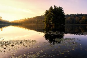 "Autumn Morning at Bass Lake, Milepost 294" by Victor Ellison Fine Art Photography