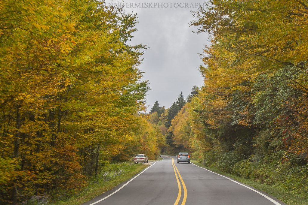 "Fall Color near Mt. Mitchell" by Jennifer Mesk Photography