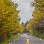 "Fall Color near Mt. Mitchell" by Jennifer Mesk Photography