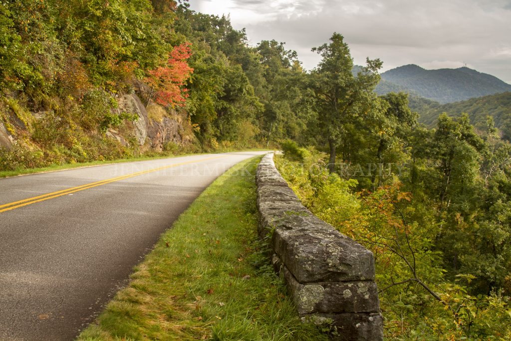 "Fall Color South of Buck Springs Tunnel, Milepost 407.3" by Jennifer Mesk Photography