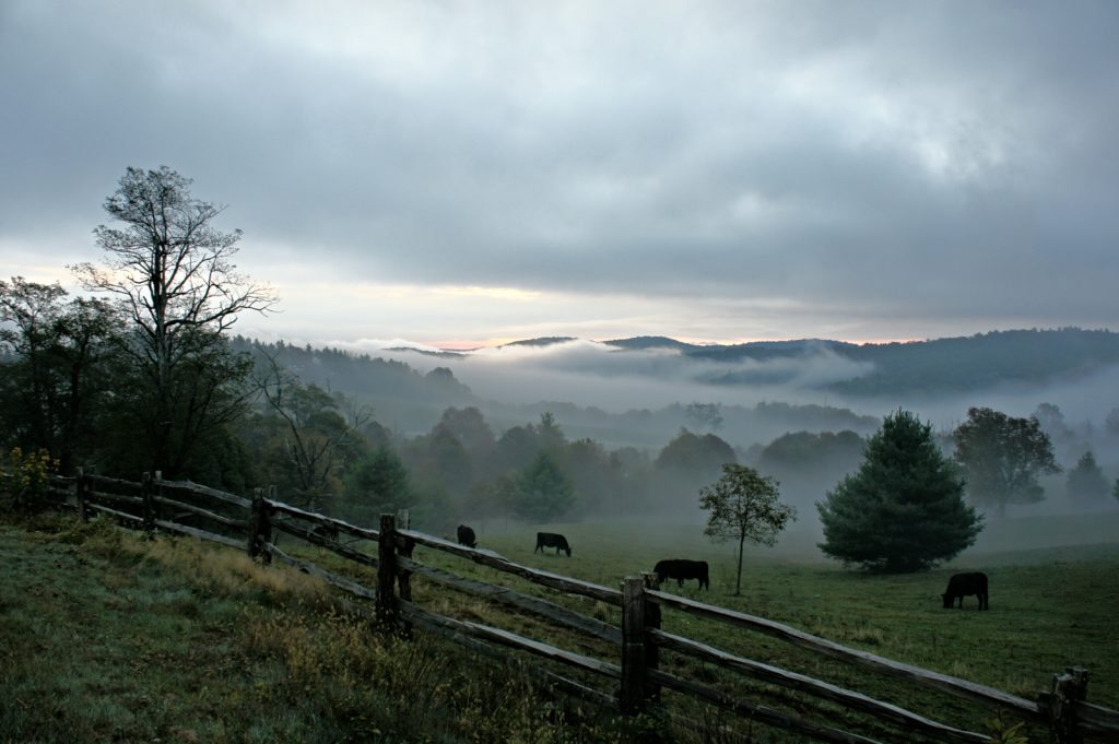 "Foggy Morning at Doughton Park, Milepost 241" by Stephanie Puckett