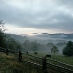 "Foggy Morning at Doughton Park, Milepost 241" by Stephanie Puckett