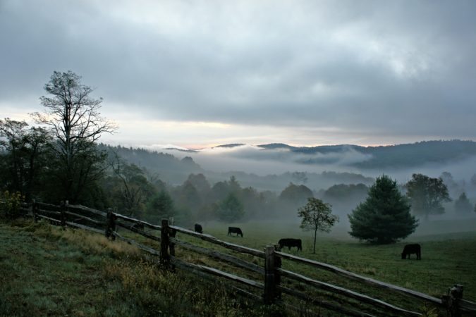 "Foggy Morning at Doughton Park, Milepost 241" by Stephanie Puckett