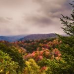 "Near Peak Color At Graveyard Fields Milepost 418" by Joey Anderson