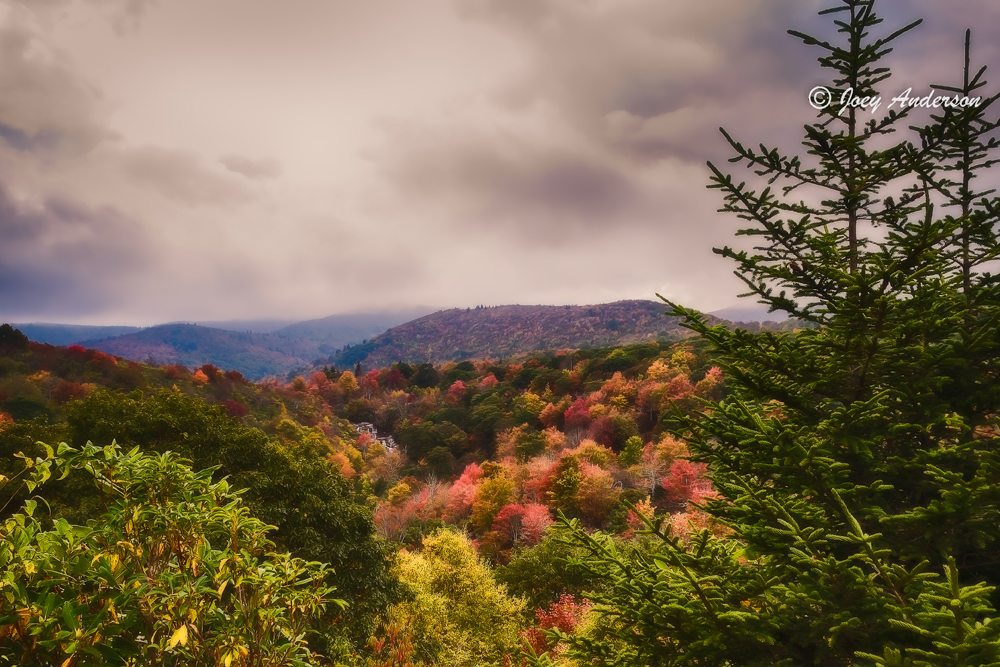 "Near Peak Color At Graveyard Fields Milepost 418" by Joey Anderson
