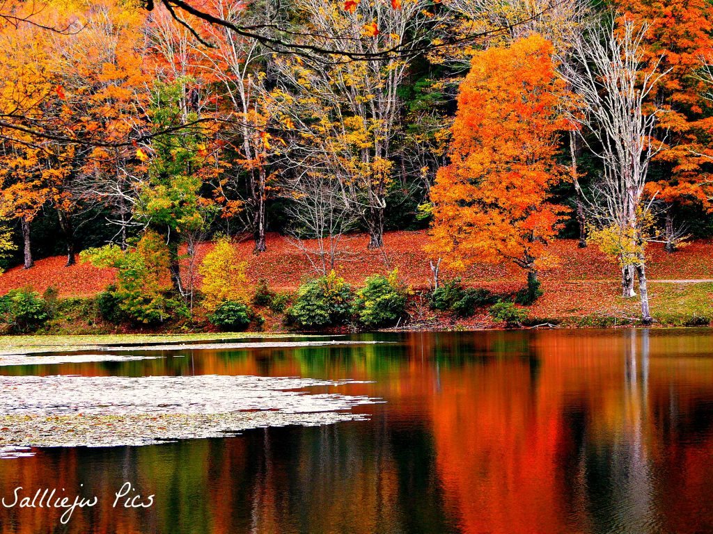 "Fall Reflections at Bass Lake, Milepost 294.6" by Salliejw Pics