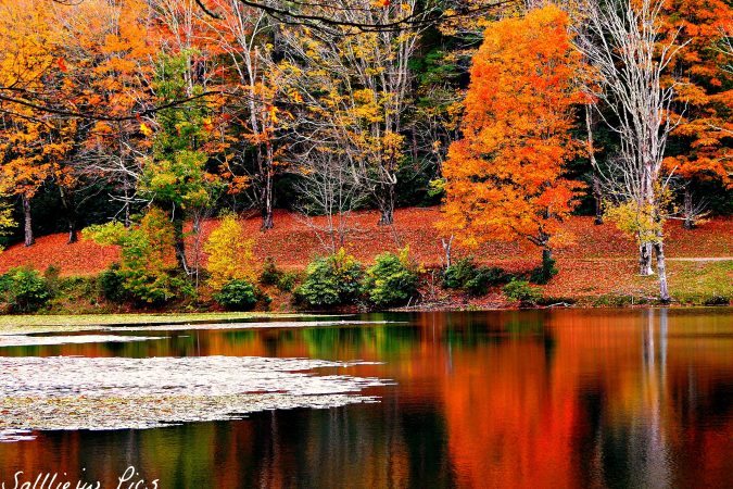 "Fall Reflections at Bass Lake, Milepost 294.6" by Salliejw Pics