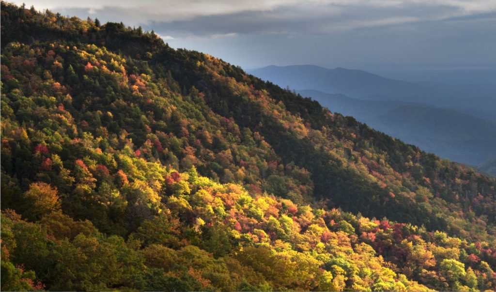 "Blue Ridge Parkway near Mt. Mitchell State Park" by Glimpse of Light