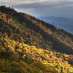 "Blue Ridge Parkway near Mt. Mitchell State Park" by Glimpse of Light