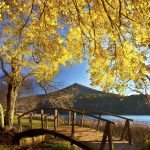 "Sharp Top Milepost 86" by Brent McGuirt Photography