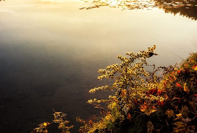 "Sunrise at Bass Lake, Milepost 294" by Victor Ellison Fine Art Photography