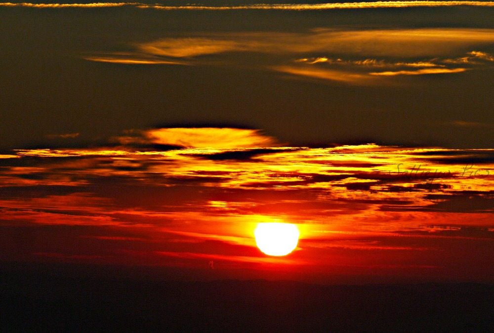 "November Sunrise at Yonhalosee" by Salliejw Pics