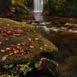 "Looking Glass Falls" by Jeff Burcher Photography
