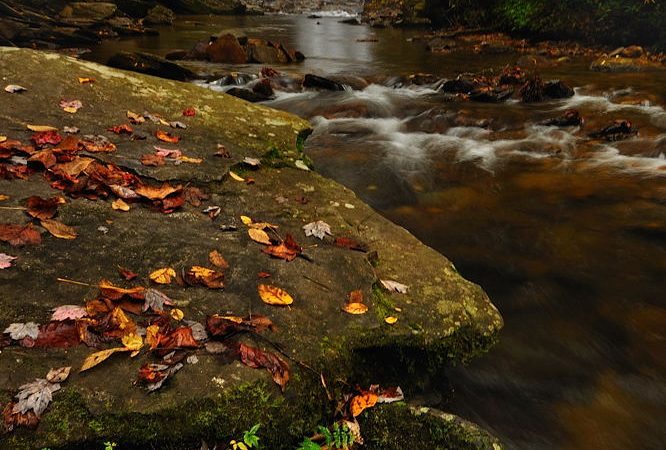 "Looking Glass Falls" by Jeff Burcher Photography