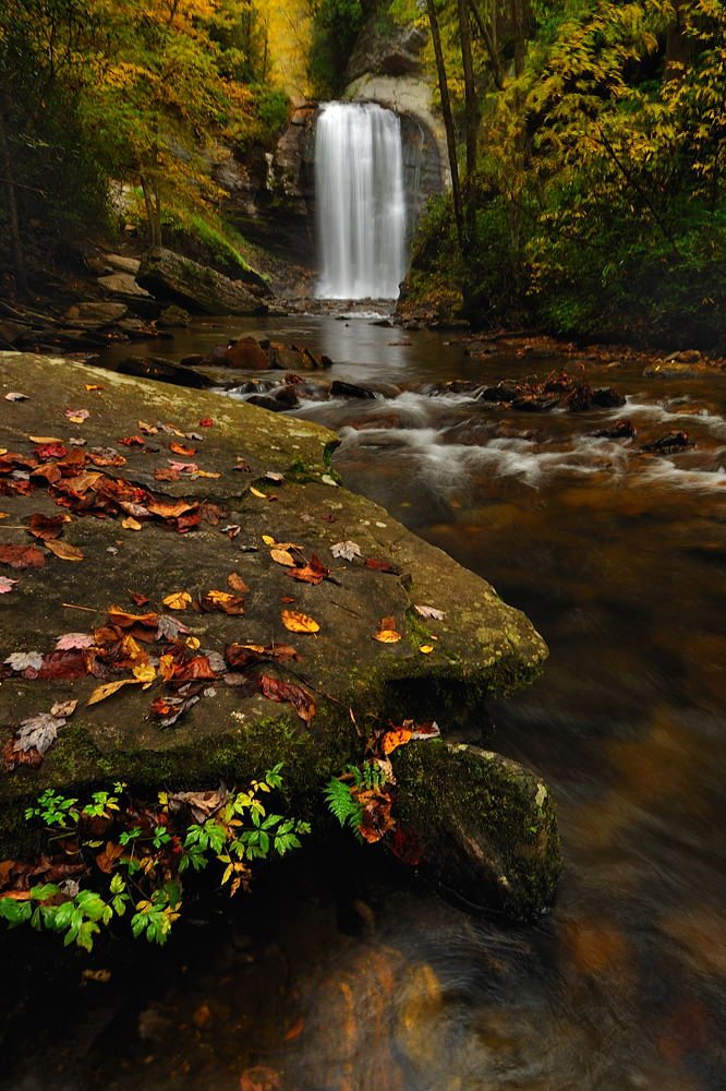 "Looking Glass Falls" by Jeff Burcher Photography