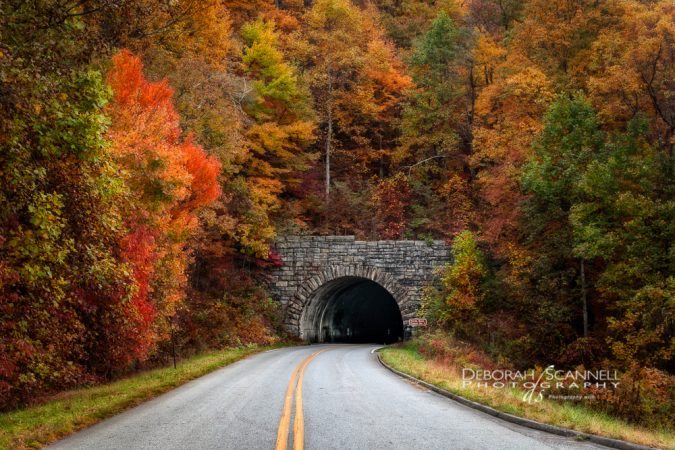 "Ferrin Knob #1 Tunnel" by Deborah Scannell Photography