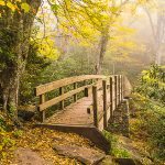 "One Fine Morning" by Suhan Vethanayagam