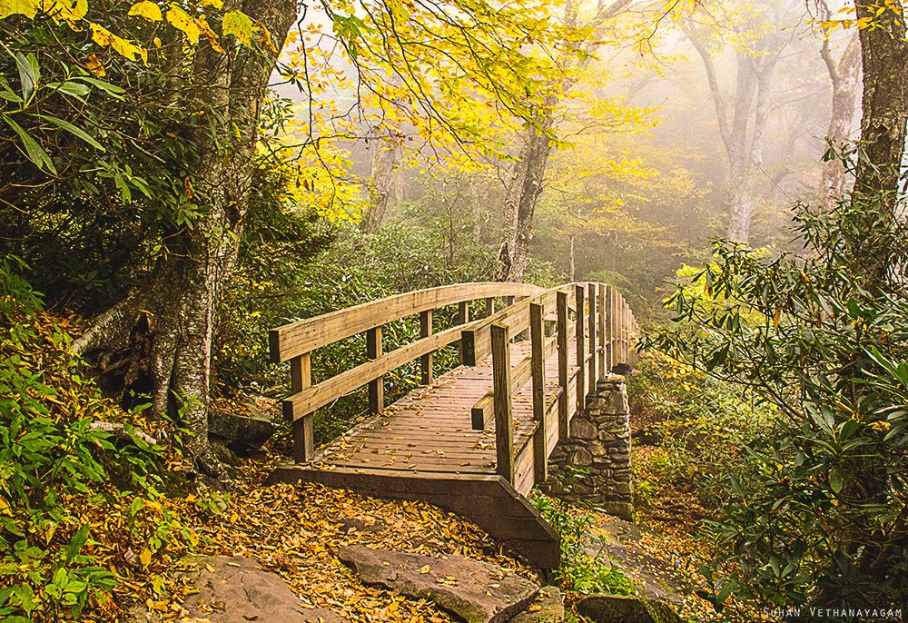 "One Fine Morning" by Suhan Vethanayagam