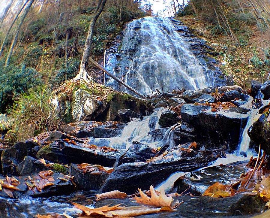 "Fall at Crabtree Falls" by Christina M. Moore
