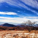 "The Bald at Craggy Gardens" by Christina M. Moore