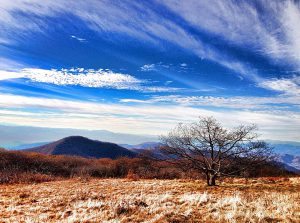 "The Bald at Craggy Gardens" by Christina M. Moore