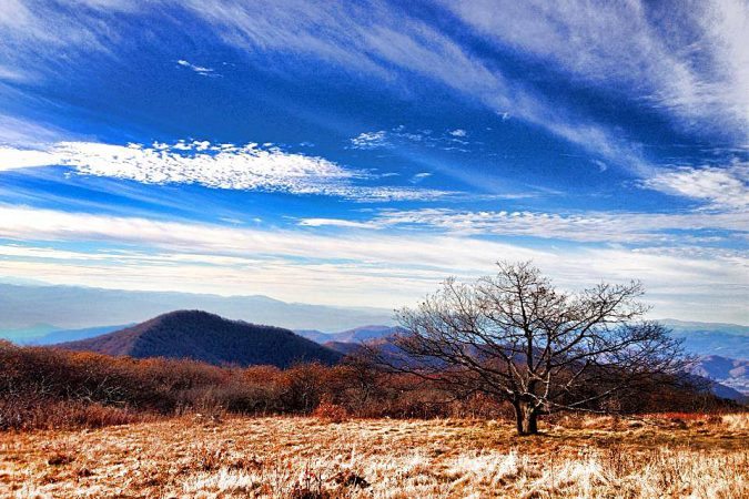 "The Bald at Craggy Gardens" by Christina M. Moore