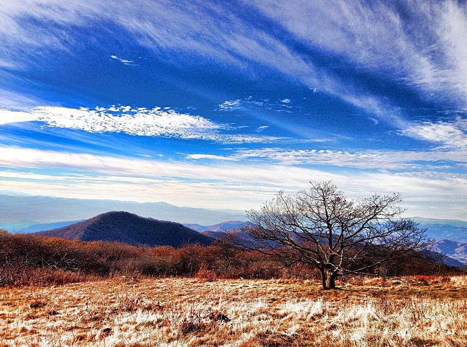 "The Bald at Craggy Gardens" by Christina M. Moore
