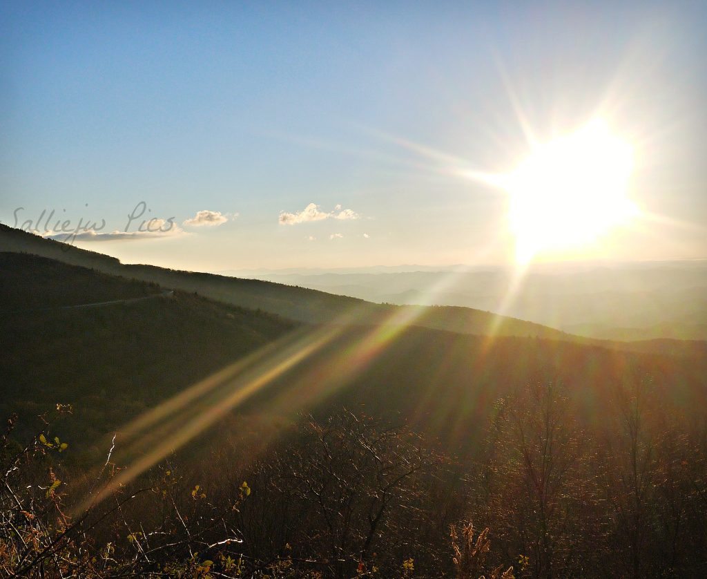"Wilson Creek Overlook Milepost 303" by Salliejw Pics