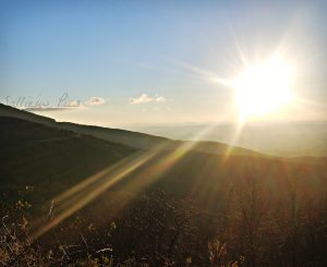 "Wilson Creek Overlook Milepost 303" by Salliejw Pics