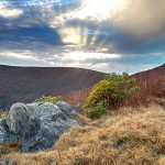 "Black Balsam Area Milepost 420" by Christina M. Moore